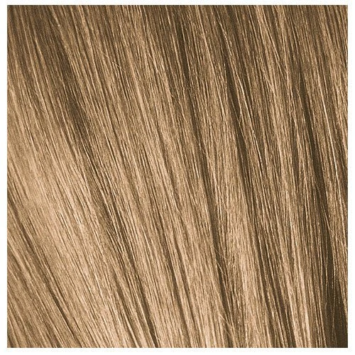 Coloration Schwarzkopf Igora Color 10 19 Coloration Schwarzkopf Igora Color 10 – Image 19