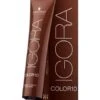 Coloration Schwarzkopf Igora Color 10